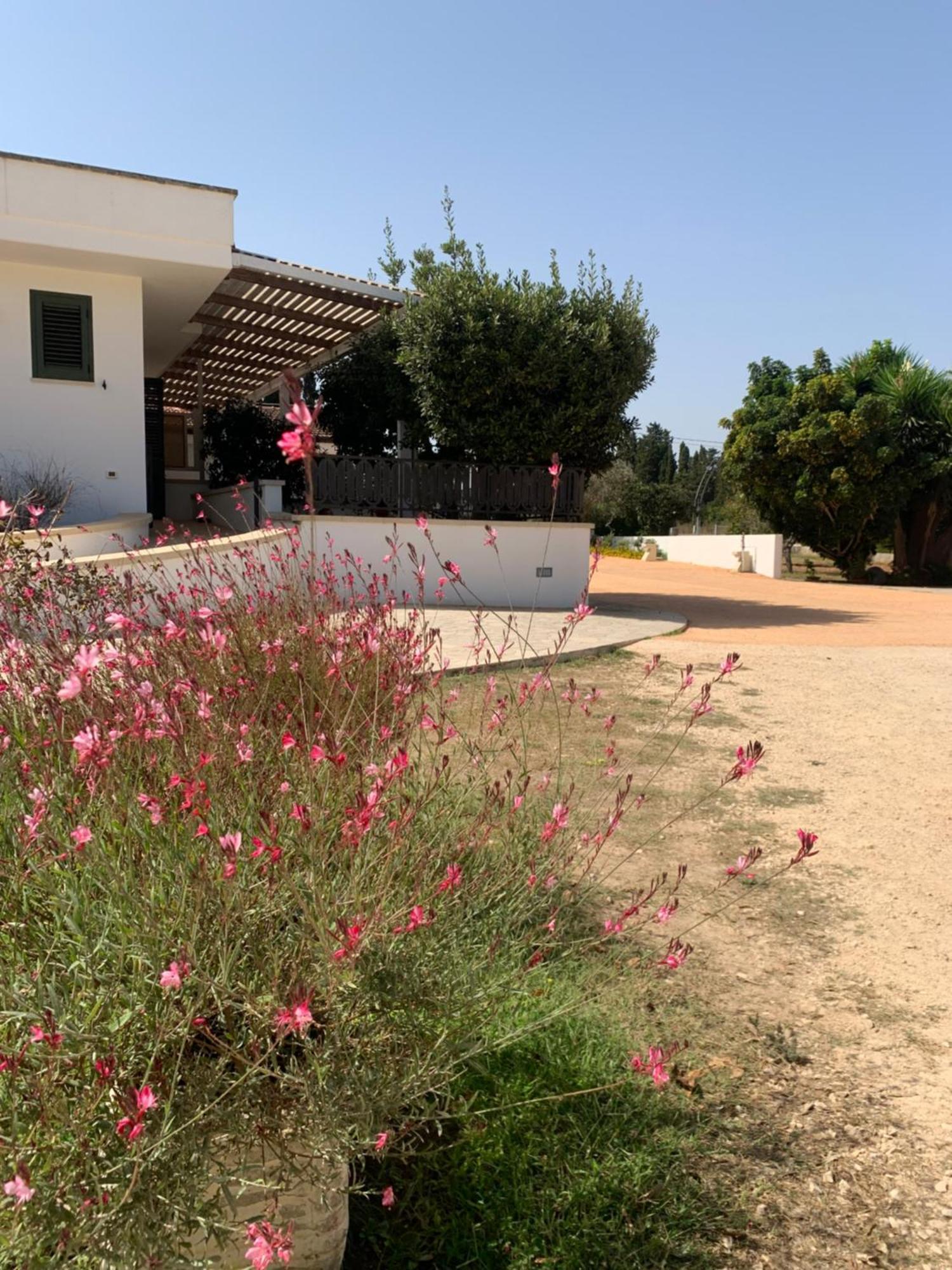 Agriturismo Fontanelle أوترانتو المظهر الخارجي الصورة