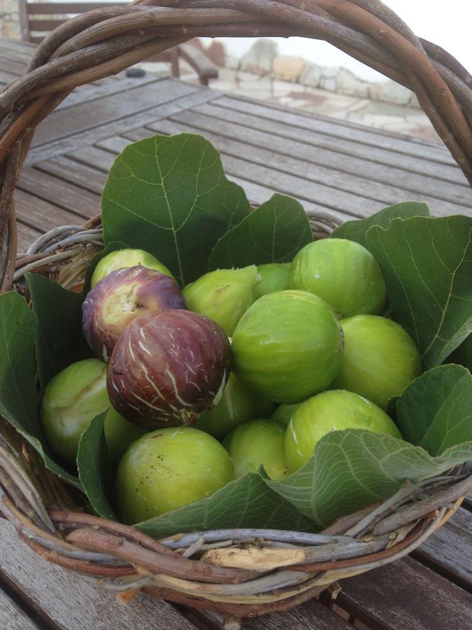 Agriturismo Fontanelle أوترانتو المظهر الخارجي الصورة