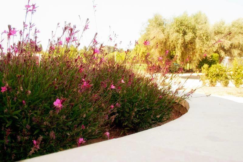 Agriturismo Fontanelle أوترانتو المظهر الخارجي الصورة